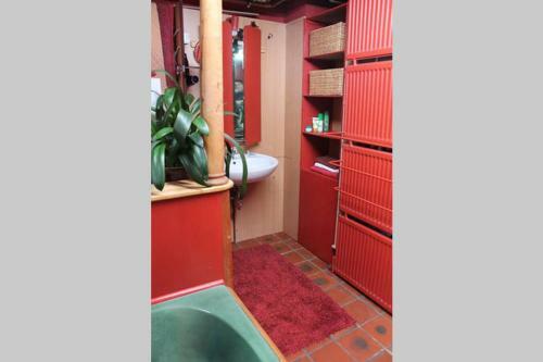 Apartamento Altes Sch�ferhaus