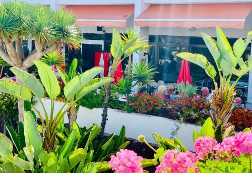 Apartamento Parque Santiago, Playa De Las Americas