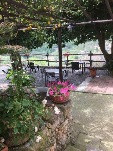 Agroturismo Agriturismo I Lamoi