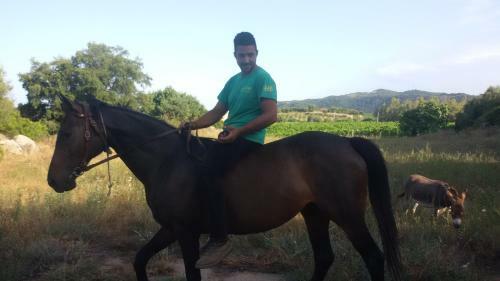 Agroturismo Agriturismo Su Solianu