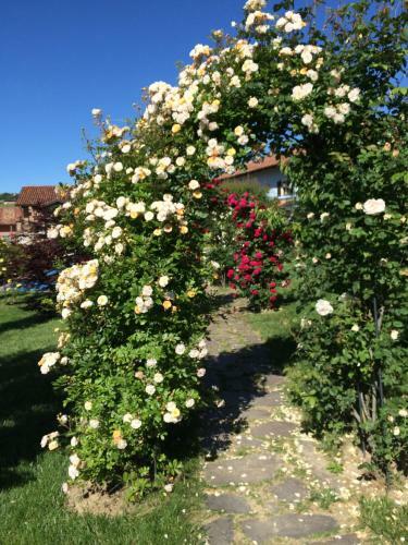 Hostal Residence Delle Rose