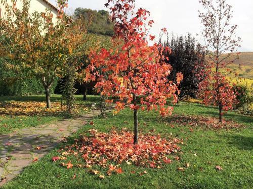 Hostal Residence Delle Rose