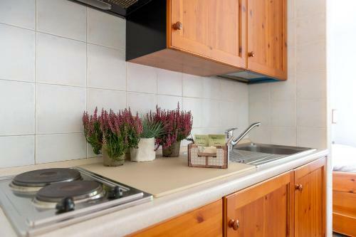 Apartamento Residence Monterosa