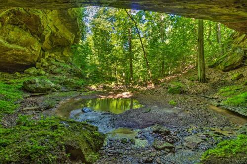 Scenic Retreat With Ponds, Waterfall, Cave And More!