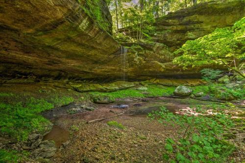 Scenic Retreat With Ponds, Waterfall, Cave And More!