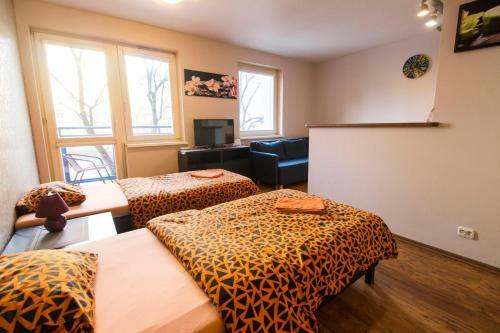 Lucky Apartaments Old Town -economy