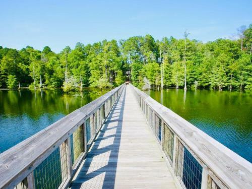 Tentrr State Park Site - Lake D'arbonne State Park Site C