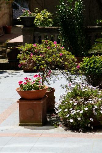 Hotel Villa De Luarca