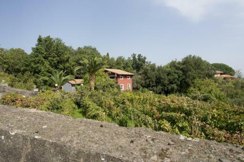Hostal Il Nido Delle Aquile Dell'etna