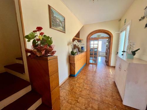 Hotel Ca' Bianca Da Paolino