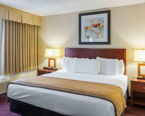 Hotel La Quinta Inn & Suites Somerset