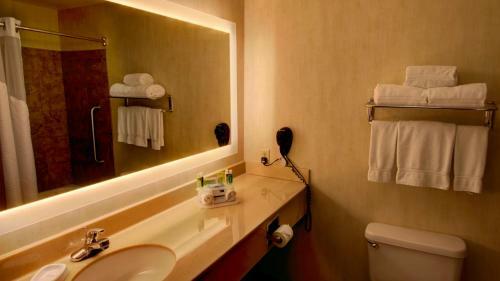 Hotel Holiday Inn Express & Suites Sioux Center