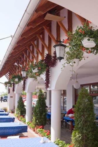Bed & Breakfast Feh�rt�i Hal�szcs�rda �s Panzi�