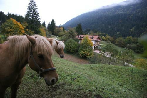 Agroturismo Agriturismo Ai Castioni
