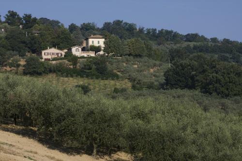 Agroturismo Agriturismo Il Girasole