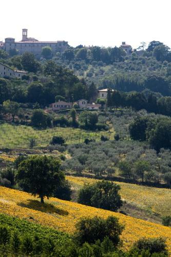 Agroturismo Agriturismo Il Girasole
