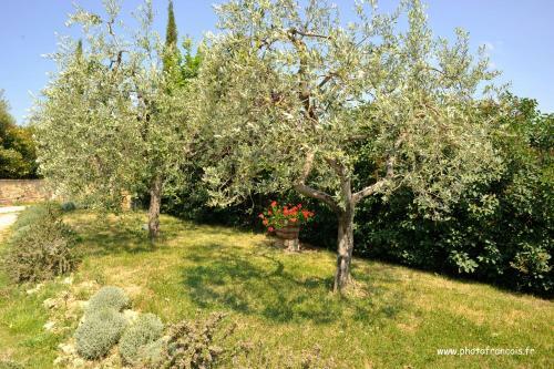 Agroturismo Agriturismo Il Sasso