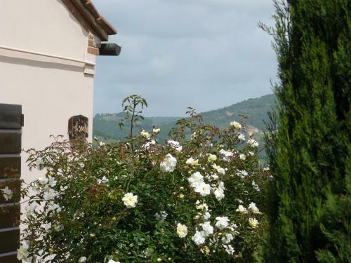 Agroturismo Il Palazzo Dei Diavoli