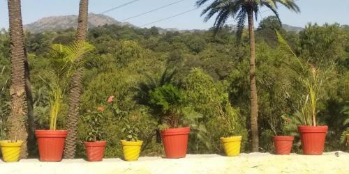 Nature View Villa