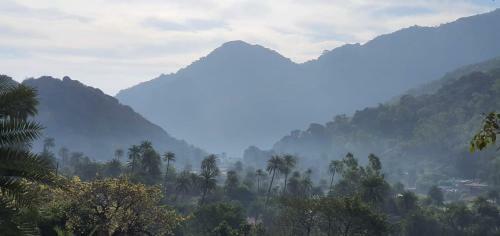 Nature View Villa