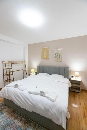 Light-2 Apartment In Tirana City Center