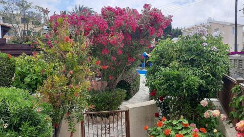 House In Eva Gardens With Pool And Garden
