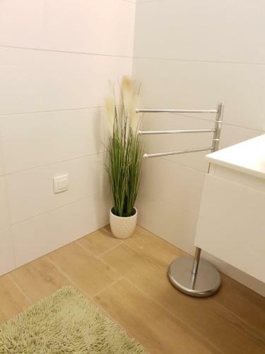 Orchid Seaview Apartment