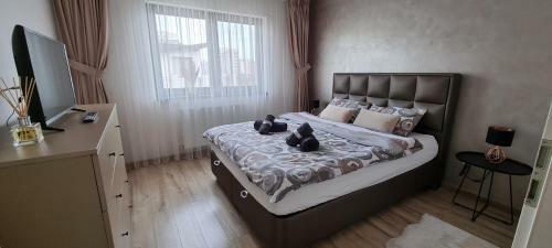 Apartamento Amani's Place