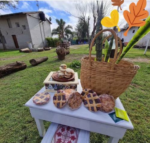Apartamento Caba�as De Cero