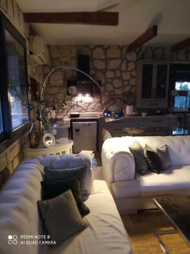 Villa Private Stone House With Swimming Pool And 2000 Sq Yard