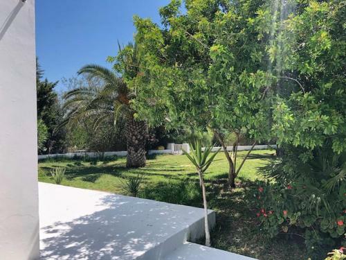Magnifique Villa Authentique Entre For�t Et Mer � Kelibia