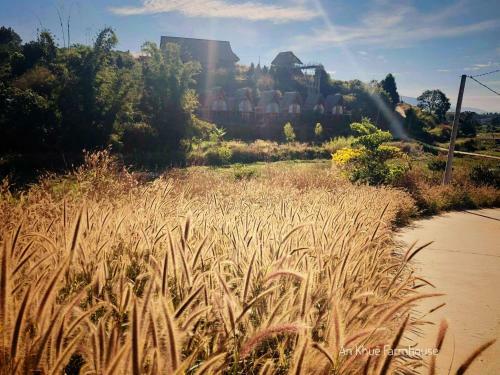 Agroturismo An Khu� Farmhouse