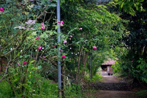 Agroturismo An Khu� Farmhouse