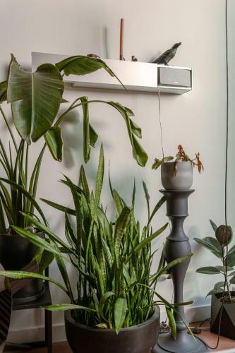 Sunny And Spacious Duplex Apartment On Top Location In Gent