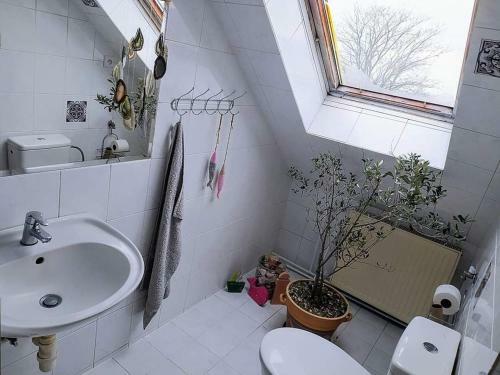 Apartamento O�za ?ivosti A Ra-dosti