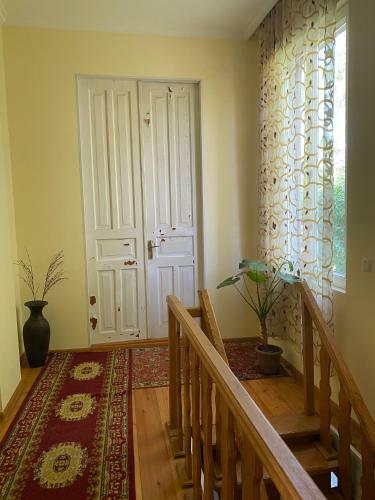 Hostal Cosy Guesthouse