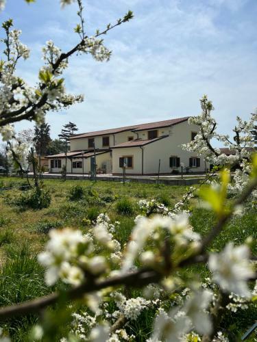 Agroturismo Tenuta Fasanarella
