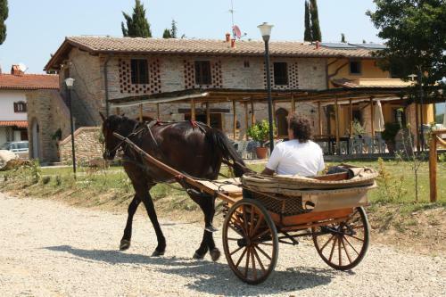 Agroturismo Agriturismo La Colombaia