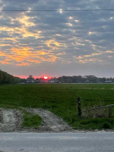 Schlafen Neben Den Kleinen K�lbchen Im K�lberiglu