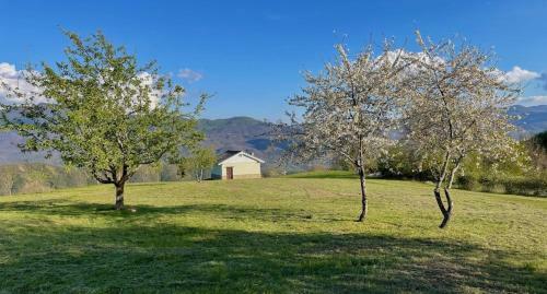 Agroturismo Agriturismo Il Noce D'oro