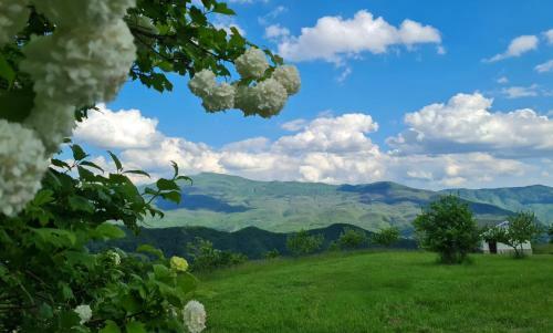 Agroturismo Agriturismo Il Noce D'oro