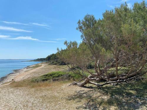Appealing Holiday Home In Premantura With Bubble Bath