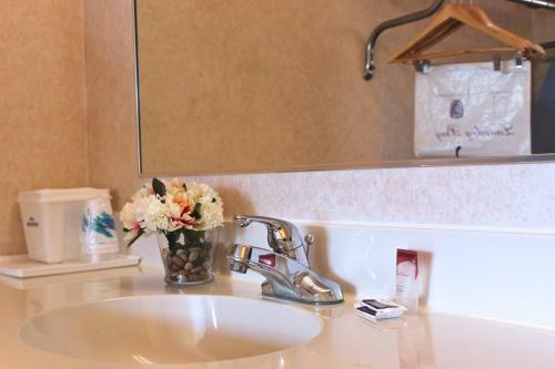 Hotel Regency Inn Richmond