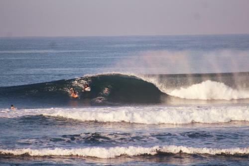 Albergue Jungle House - Surf & Stay