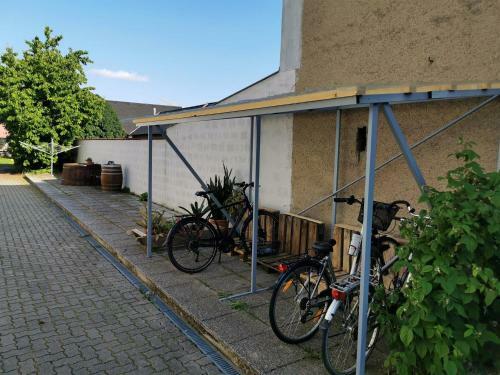 Apartamento Ferienwohnungen "zum S�ss"