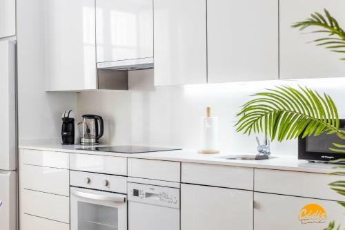 Apartamento Nature Home - Wifi - Petfriendly - Ecofriendly