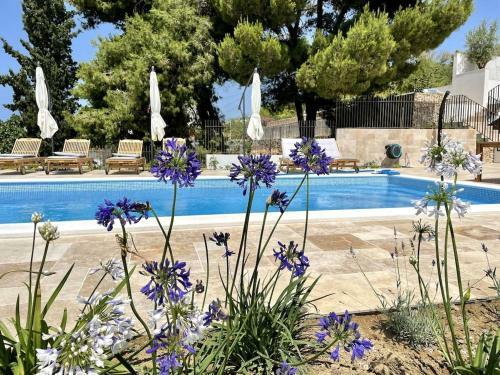 Spacious New Villa With Pool Above The Pristine Beach - First Season Pricing!!!