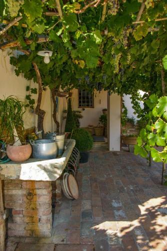 Agroturismo Agriturismo Olmi Grossi
