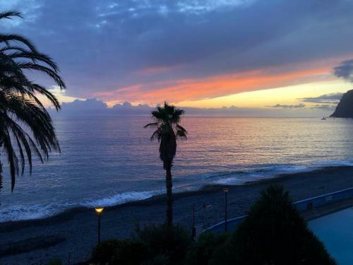 Delightful Ocean Front Escape Atlantic Gardens Apart 414