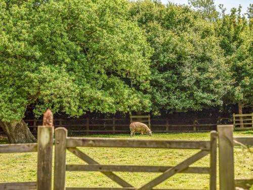 Pass The Keys Large Converted Barn With Pool, Gym And Gardens